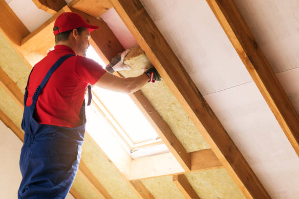 Best Basement Insulation  in Kaunakakai, HI